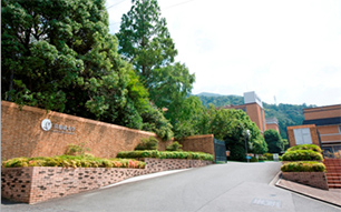 京都橘大学の評判は 大学受験専門 個別指導の大学受験テラス