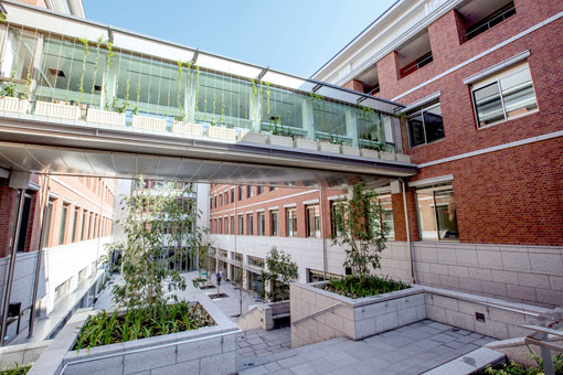 大阪大学 理系 傾向と対策